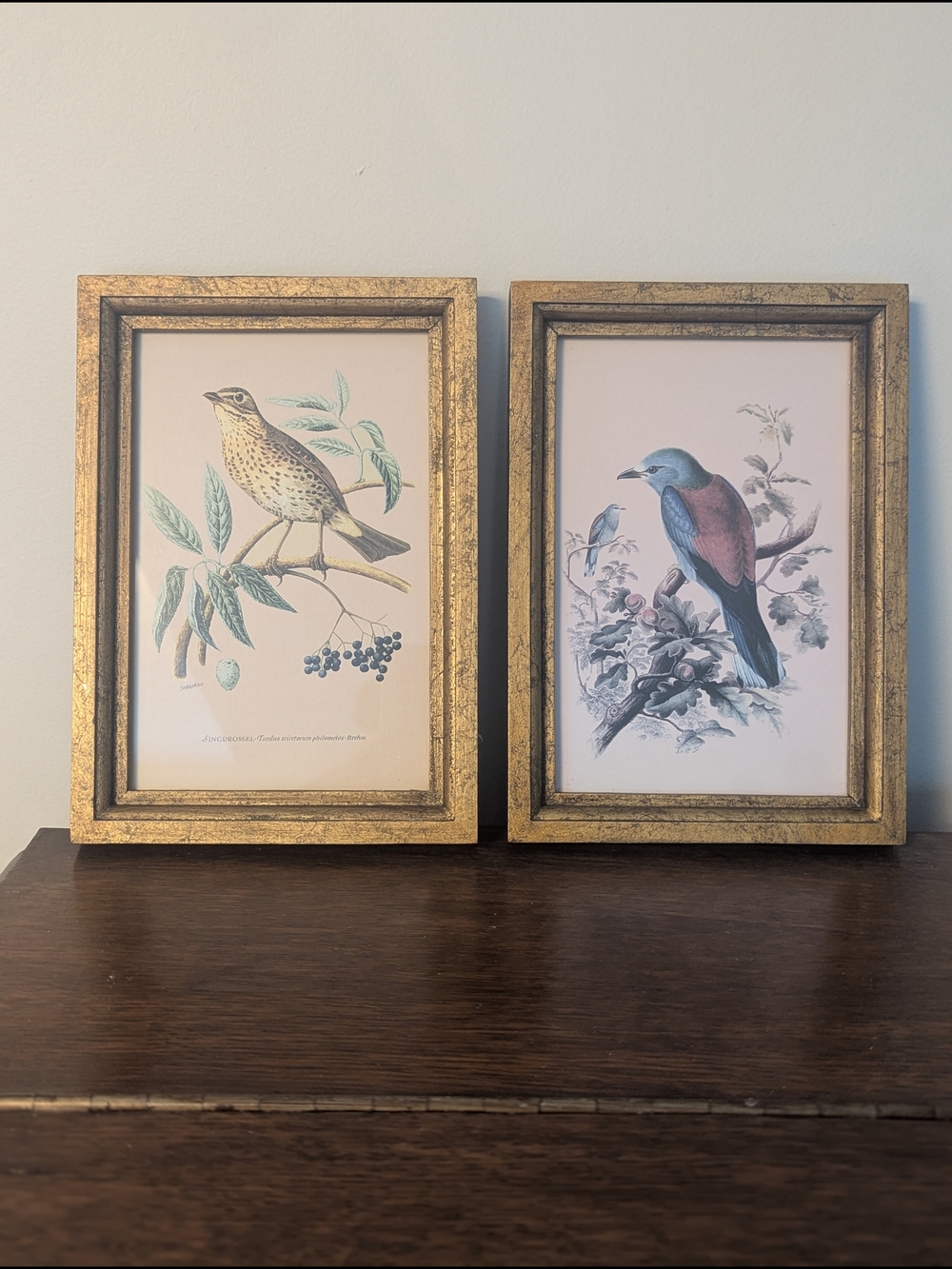 Framed Bird Prints Set of 2 Gold Gilt Frames Cottagecore Wall Decor